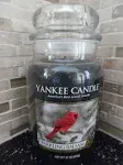 Yankee Candle Holiday Edition SPARKLING BALSAM Large 22oz Jar Retired