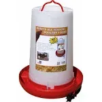 Farm Innovators 3-Gal. Heated Poultry Fountain