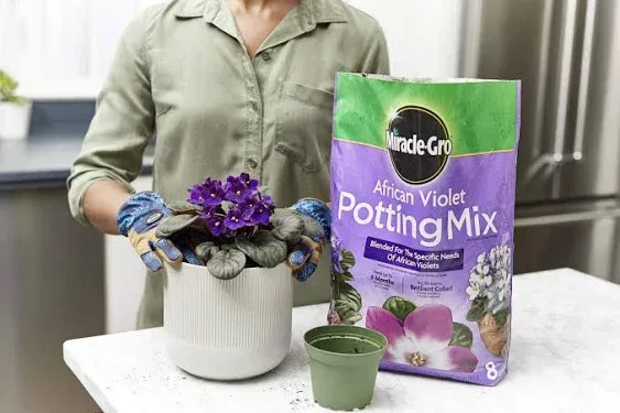 Miracle-Gro 72678430 8 qt. African Violet Potting Mix Fills Two 8 W in. Pots